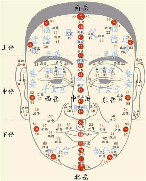 面相圖|面相學